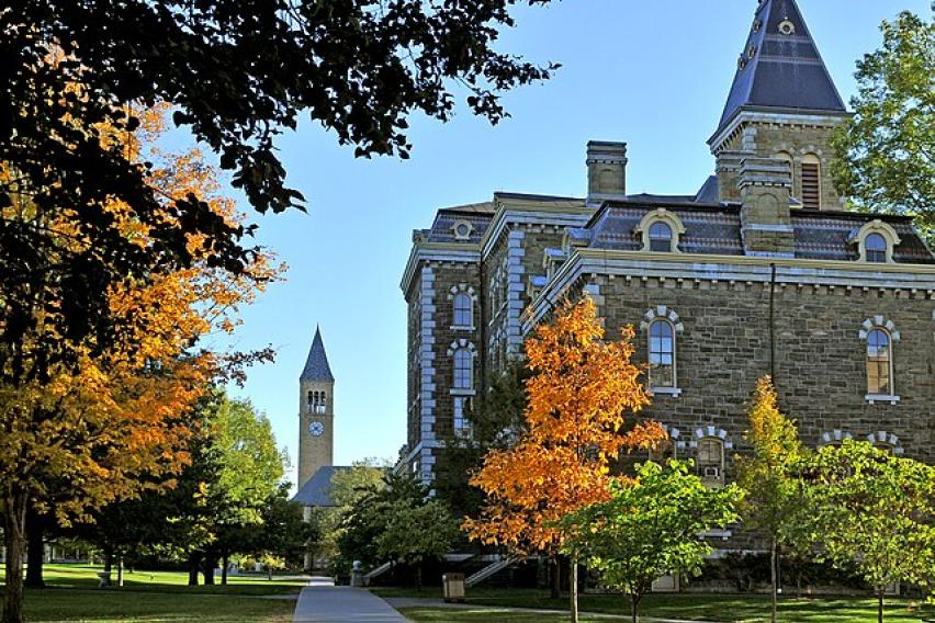 Cornell U
