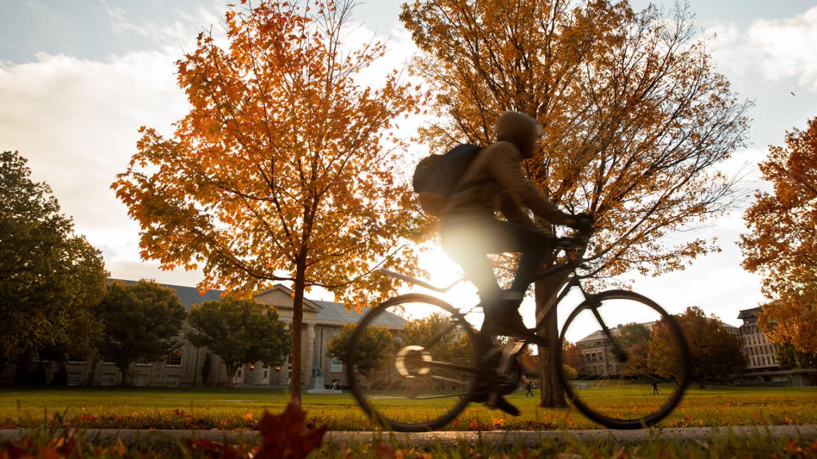 Cornell 2