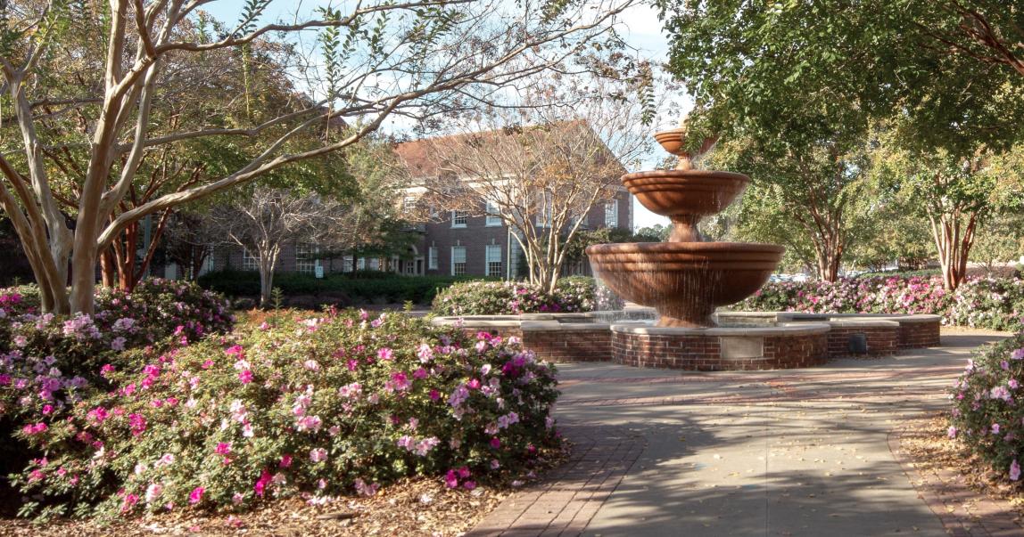University of Mississippi Content 04