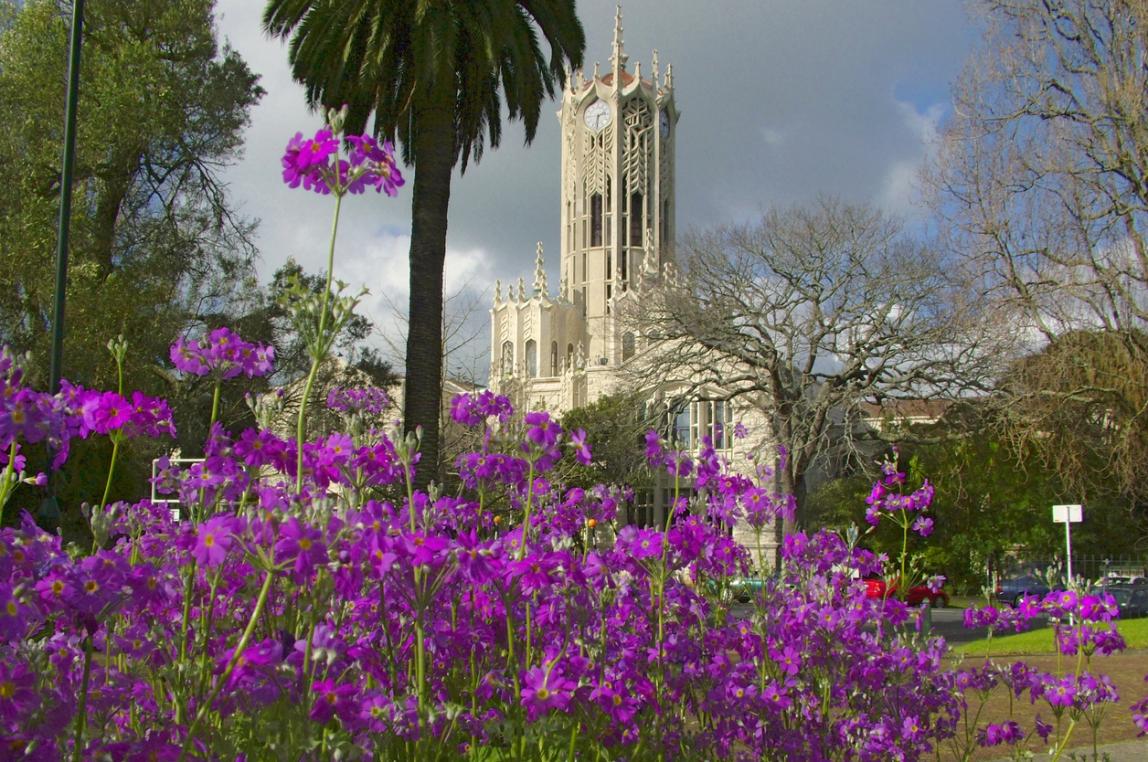 University of Auckland 1