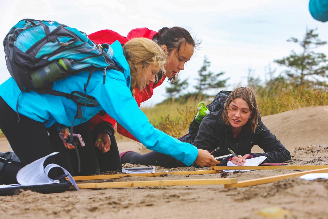 Dalhousie University - Experiential Learning