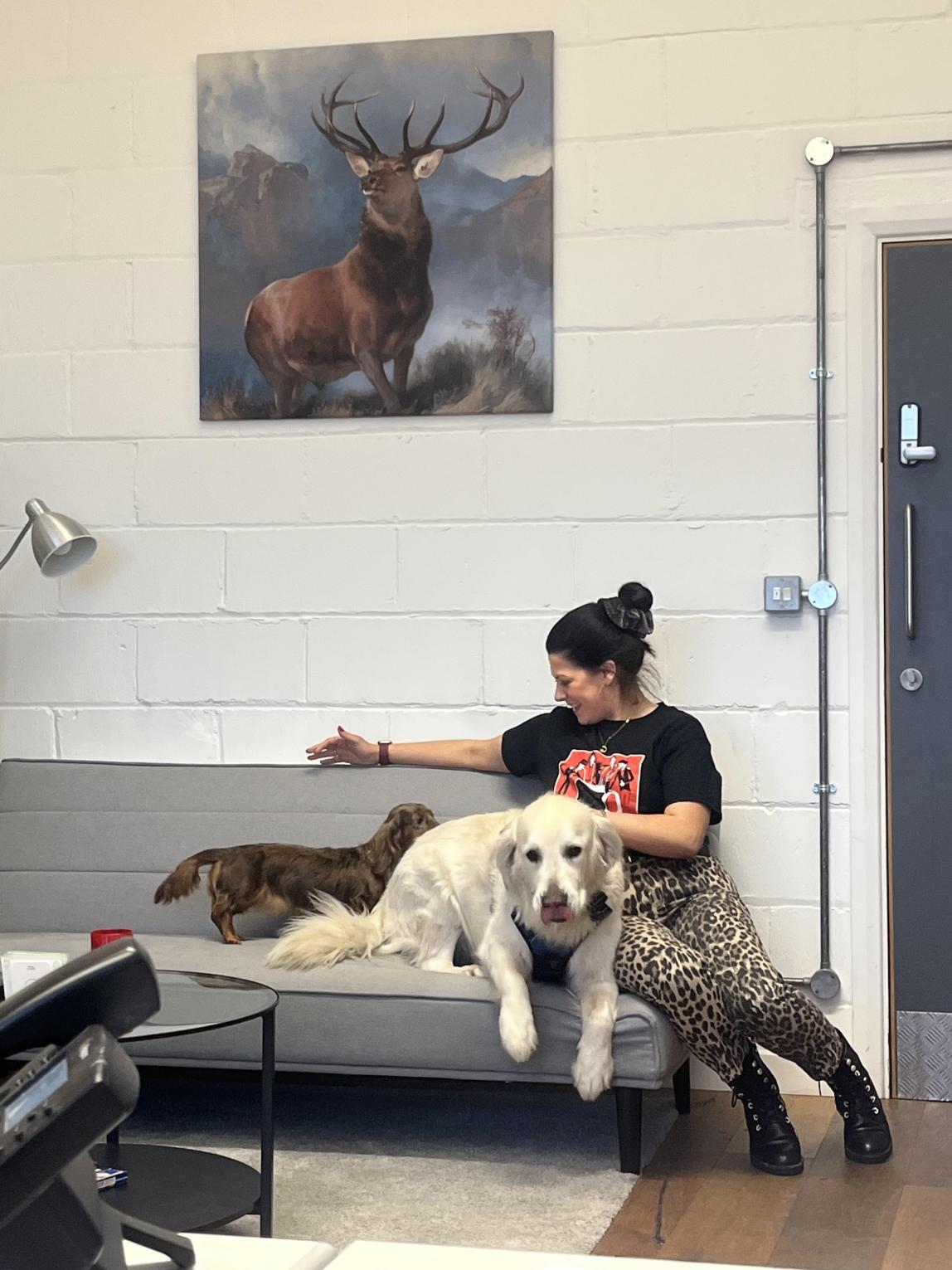 사무실 소파에서 두 마리의 개와 함께 있는 Yukyeong Jang의 동료.