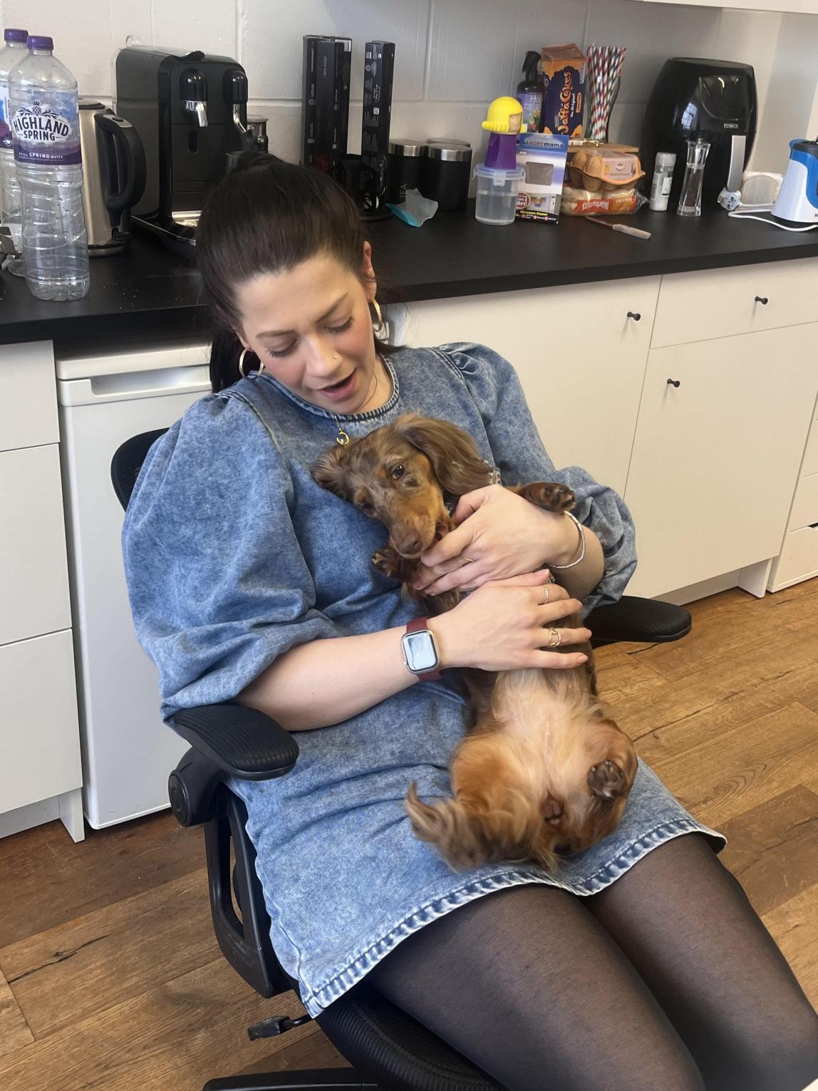 사무실에 있는 장유경의 동료와 그녀의 반려견 Quinn