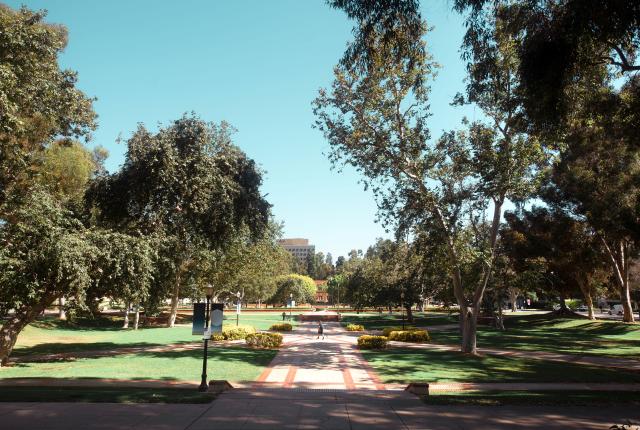 University of California, Los Angeles Content 012