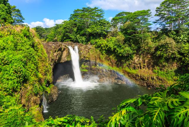 University of Hawaii at Hilo 1