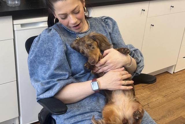 사무실에 있는 장유경의 동료와 그녀의 반려견 Quinn