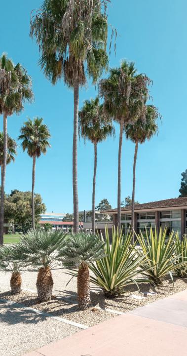 University of California, Santa Barbara Featured 02