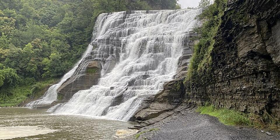Ithaca NY